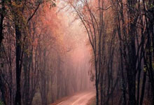 FB体育APP-西雅图海湾者后防联动升级，力求限制对方攻势