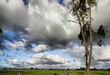 FB体育在线-鹿岛鹿角防线协作提升，力求限制攻击