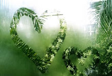 FB体育官网-杜兰特英超首秀惨遭滑铁卢！曼联0-3夜宴背后的跨界迷局