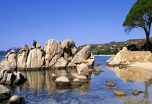 FB体育在线-鹿岛鹿角防线协作提升，力求限制攻击