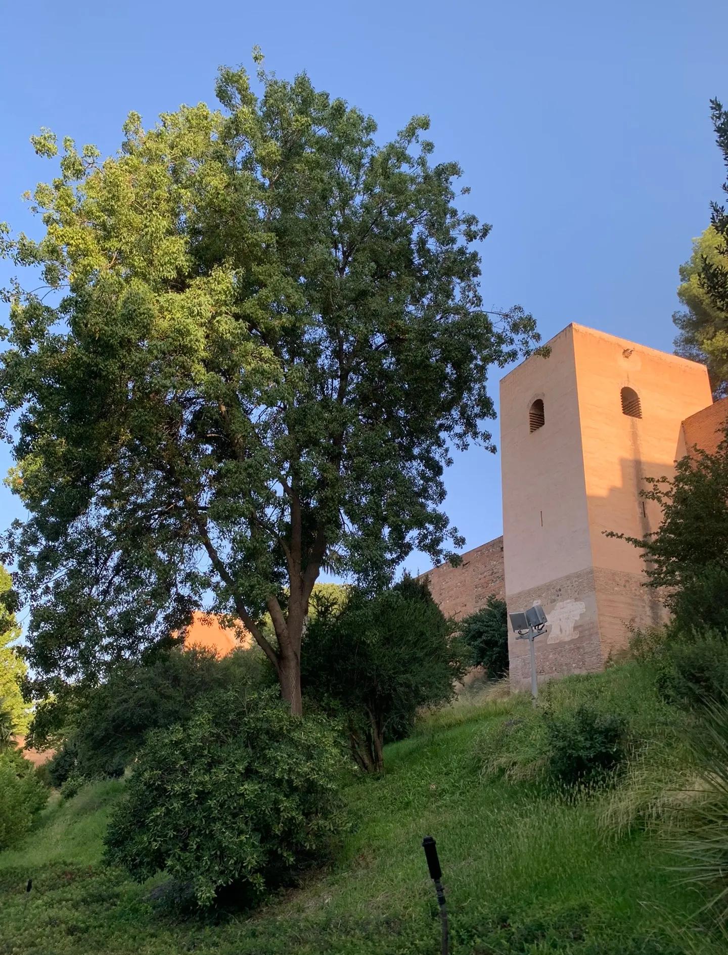 瓦伦西亚风光战胜格拉纳达,喜迎三分 瓦伦西亚风光战胜格拉纳达,喜迎三分