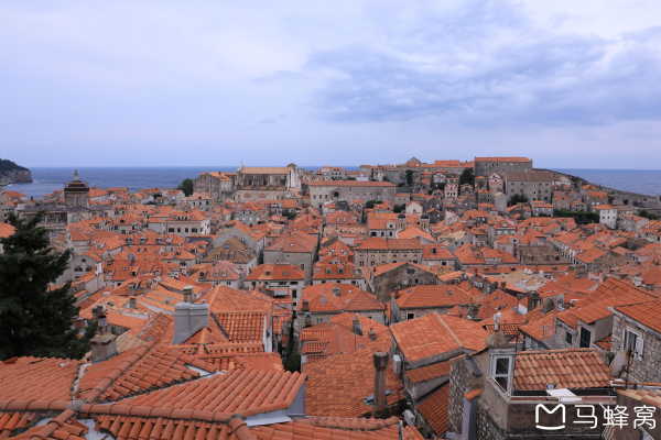 黑山主场战胜斯洛文尼亚,士气高涨 黑山主场战胜斯洛文尼亚,士气高涨