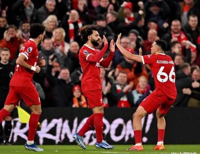 惊心动魄:新西兰队逊黑马意外挺进 惊心动魄:新西兰队逊黑马意外挺进