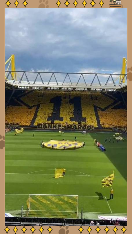 弗赖堡在主场成功阻止对手,保持不败纪录的简单介绍 弗赖堡在主场成功阻止对手,保持不败纪录的简单介绍